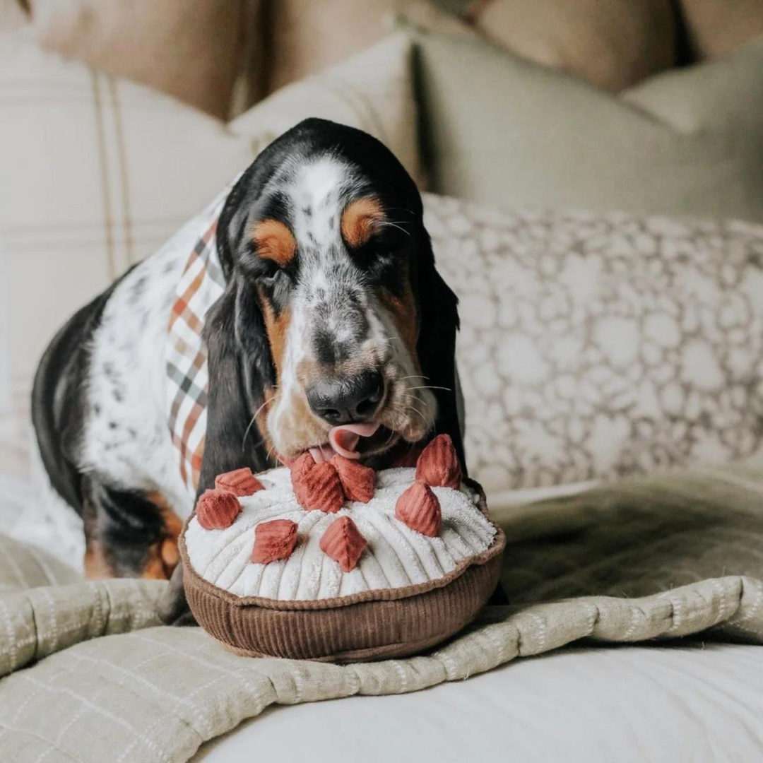 Berry Pie Enrichment Toy