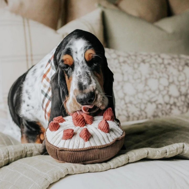 Berry Pie Enrichment Toy