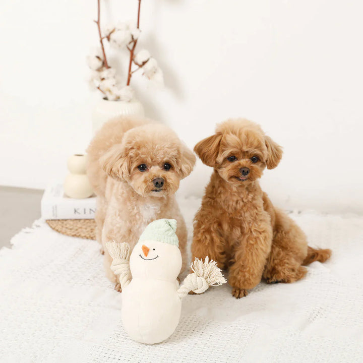 Snowman