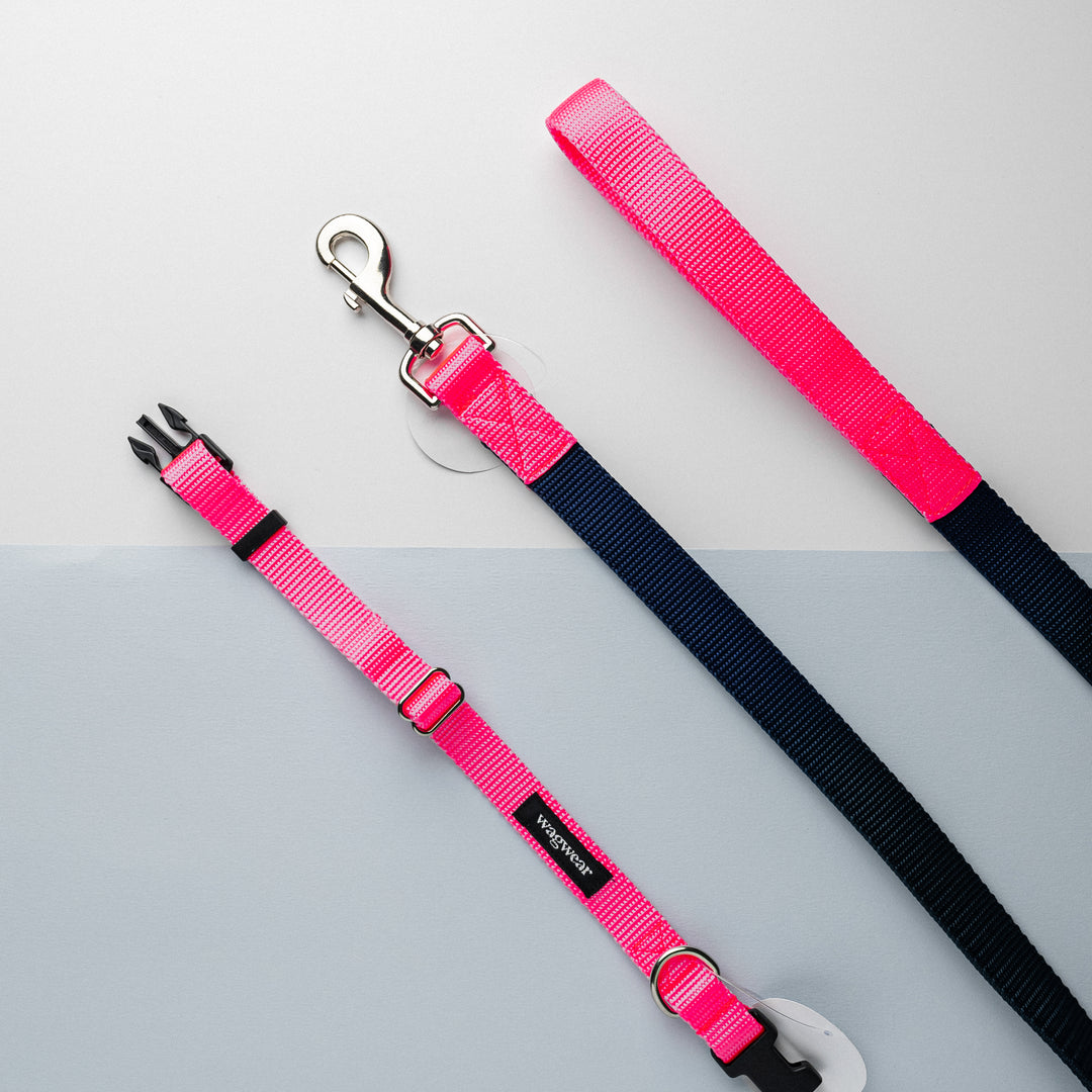 Metro Collection Collar