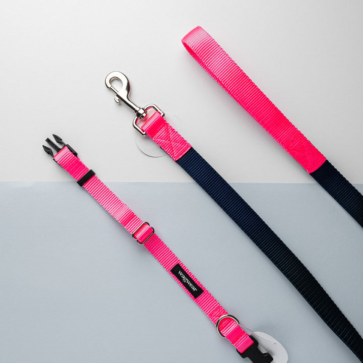 Metro Collection Collar