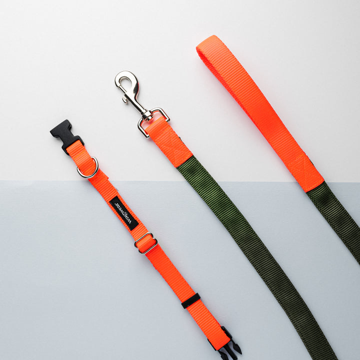 Metro Collection Collar