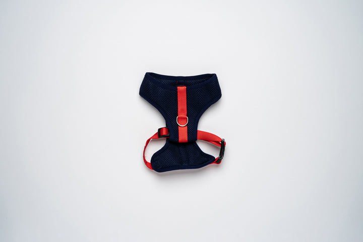 Colour-Block Padded Harness
