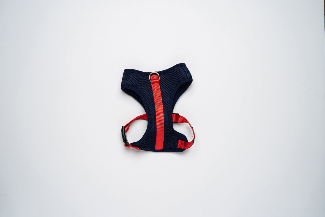 Colour-Block Padded Harness