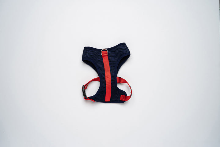 Colour-Block Padded Harness