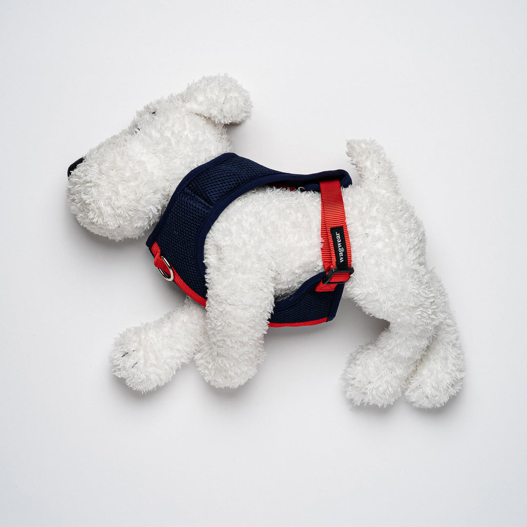 Colour-Block Padded Harness