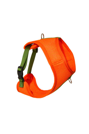 Colour-Block Padded Harness