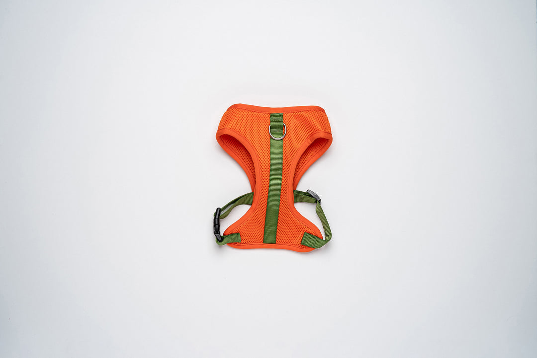 Colour-Block Padded Harness