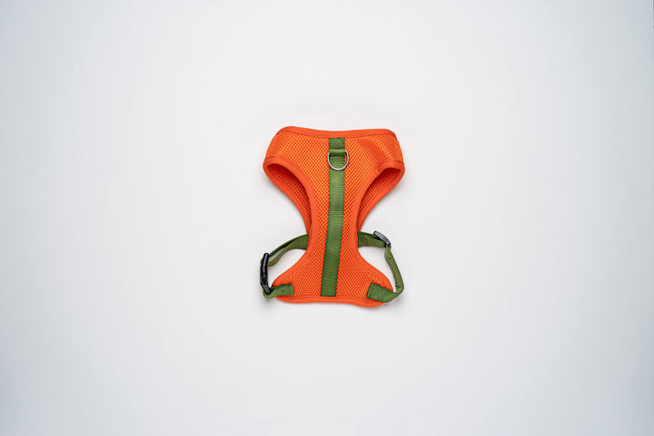 Colour-Block Padded Harness