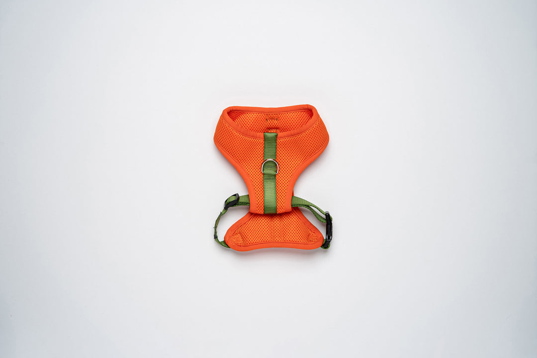 Colour-Block Padded Harness