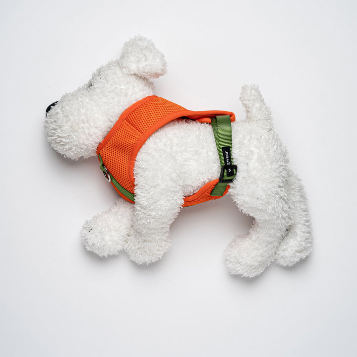 Colour-Block Padded Harness