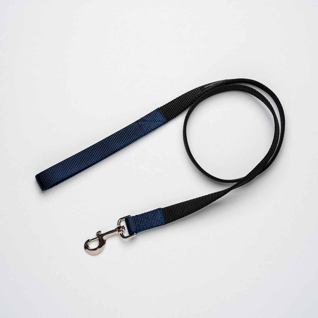 Metro Collection Lead