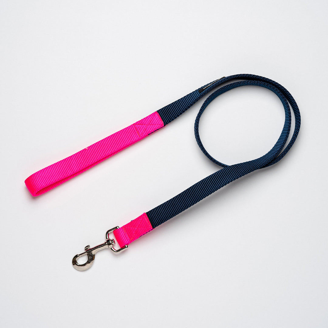 Metro Collection Lead