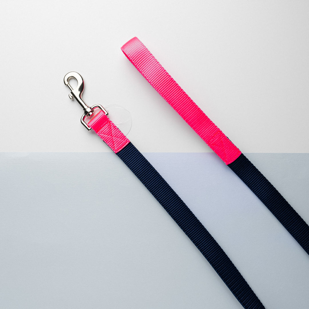 Metro Collection Lead