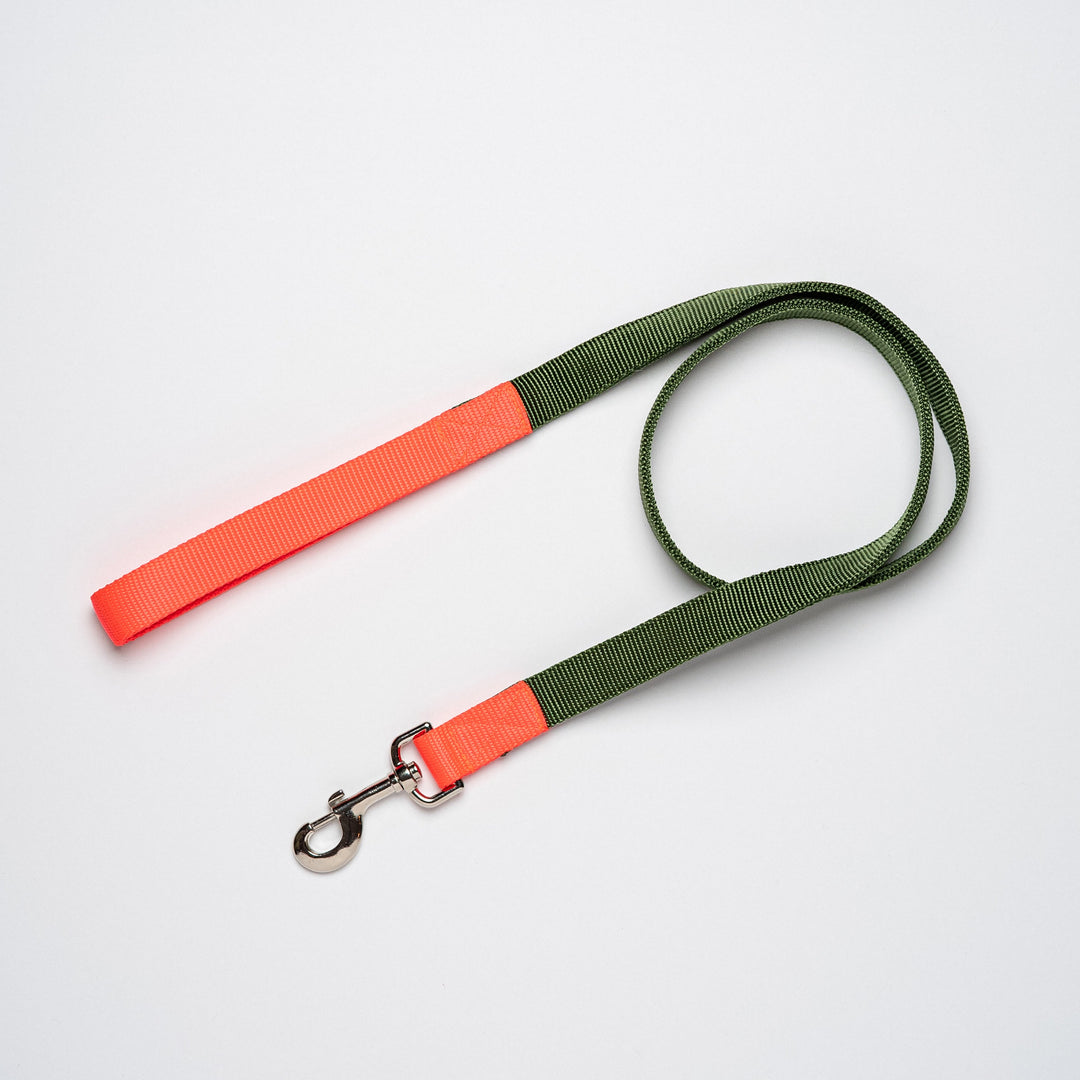 Metro Collection Lead