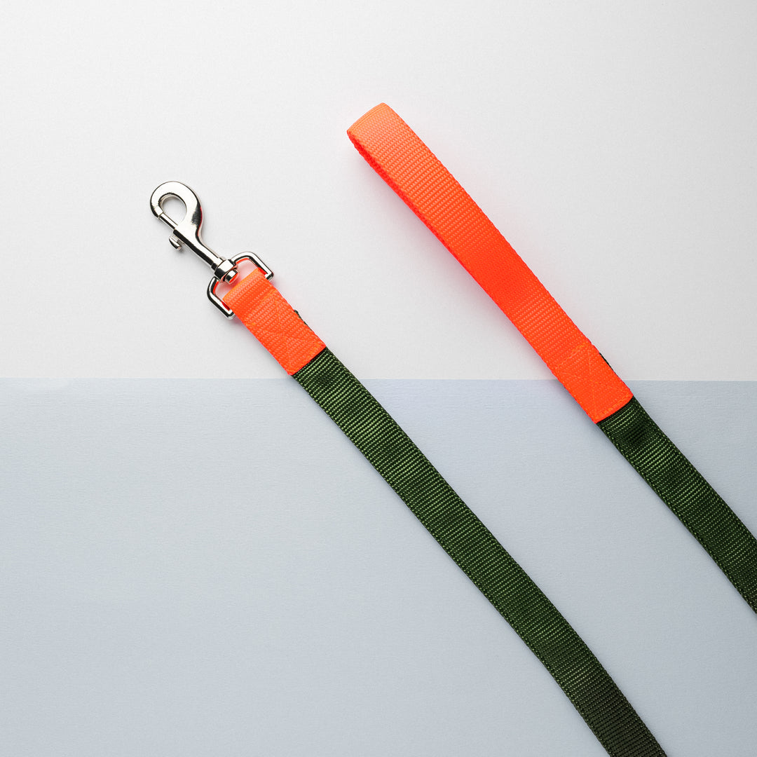 Metro Collection Lead