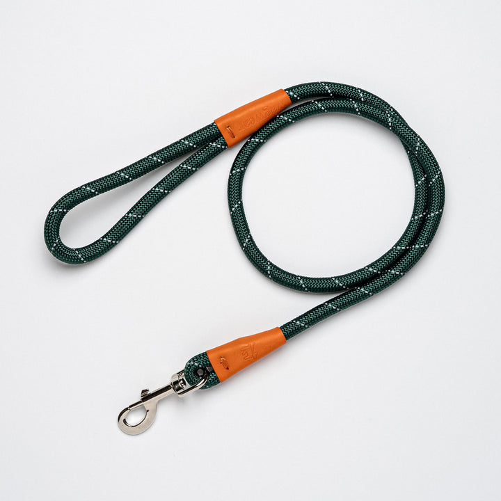 Color Block Rope Lead