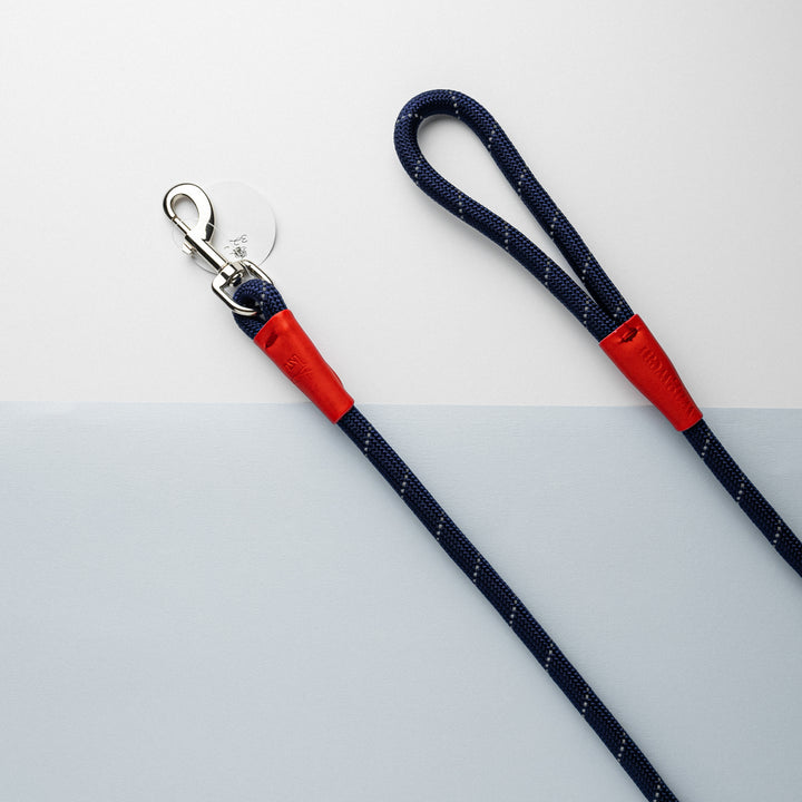 Color Block Rope Lead