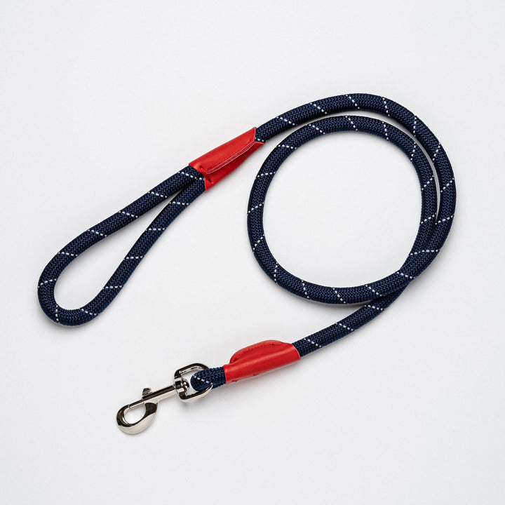 Color Block Rope Lead