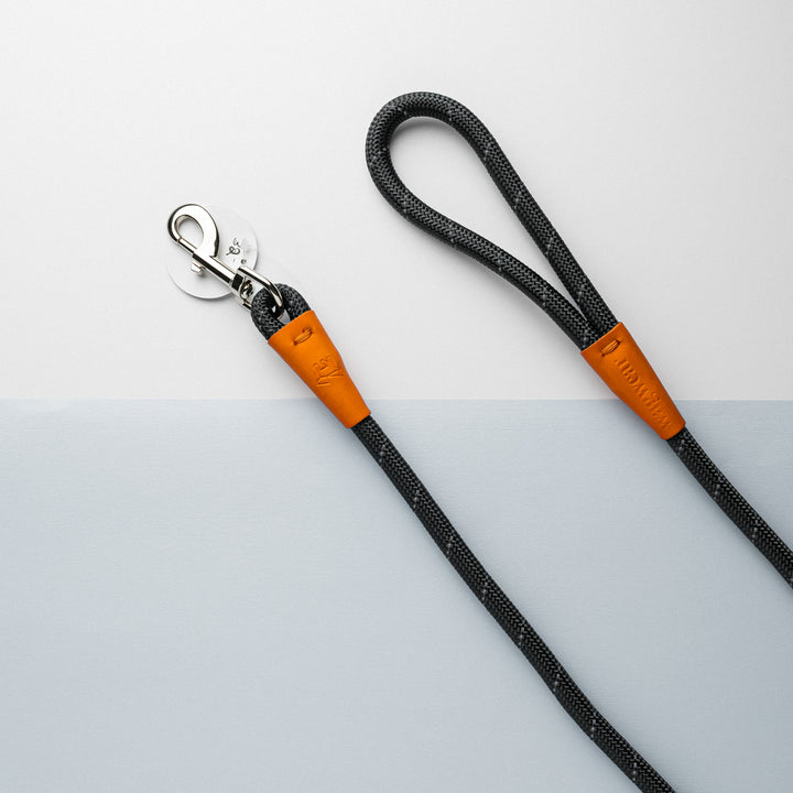 Color Block Rope Lead