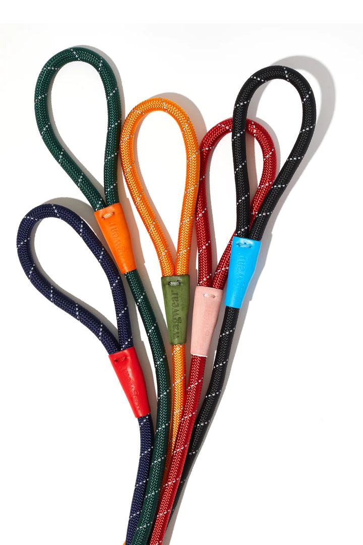 Color Block Rope Lead