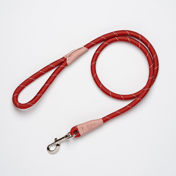 Color Block Rope Lead