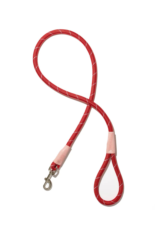 Color Block Rope Lead