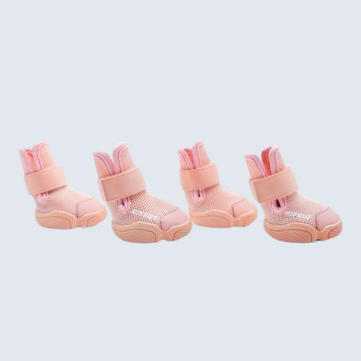 Dog Sneakers: Caesar 1