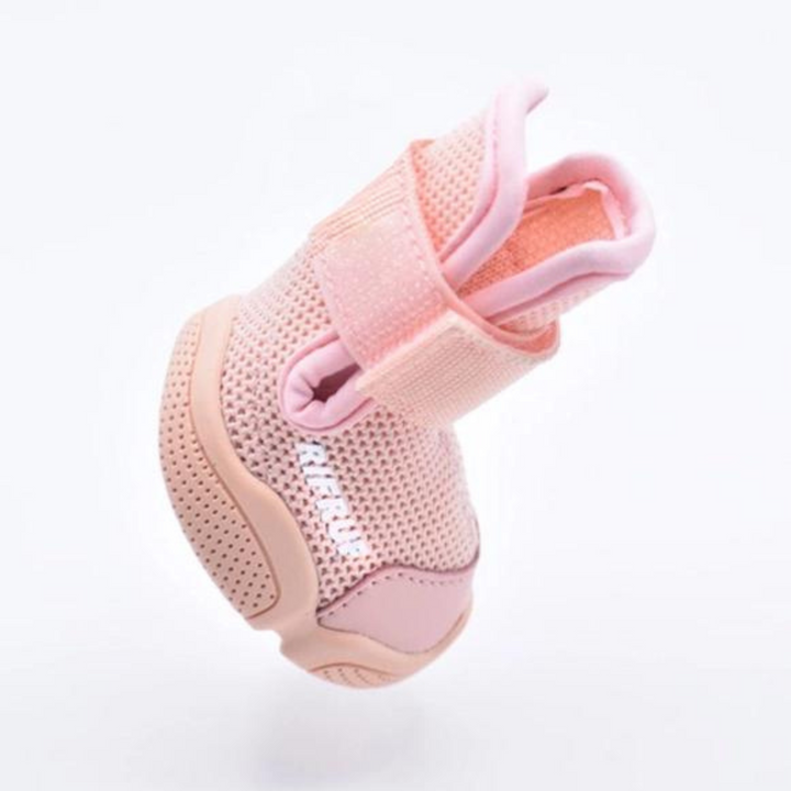 Dog Sneakers: Caesar 1