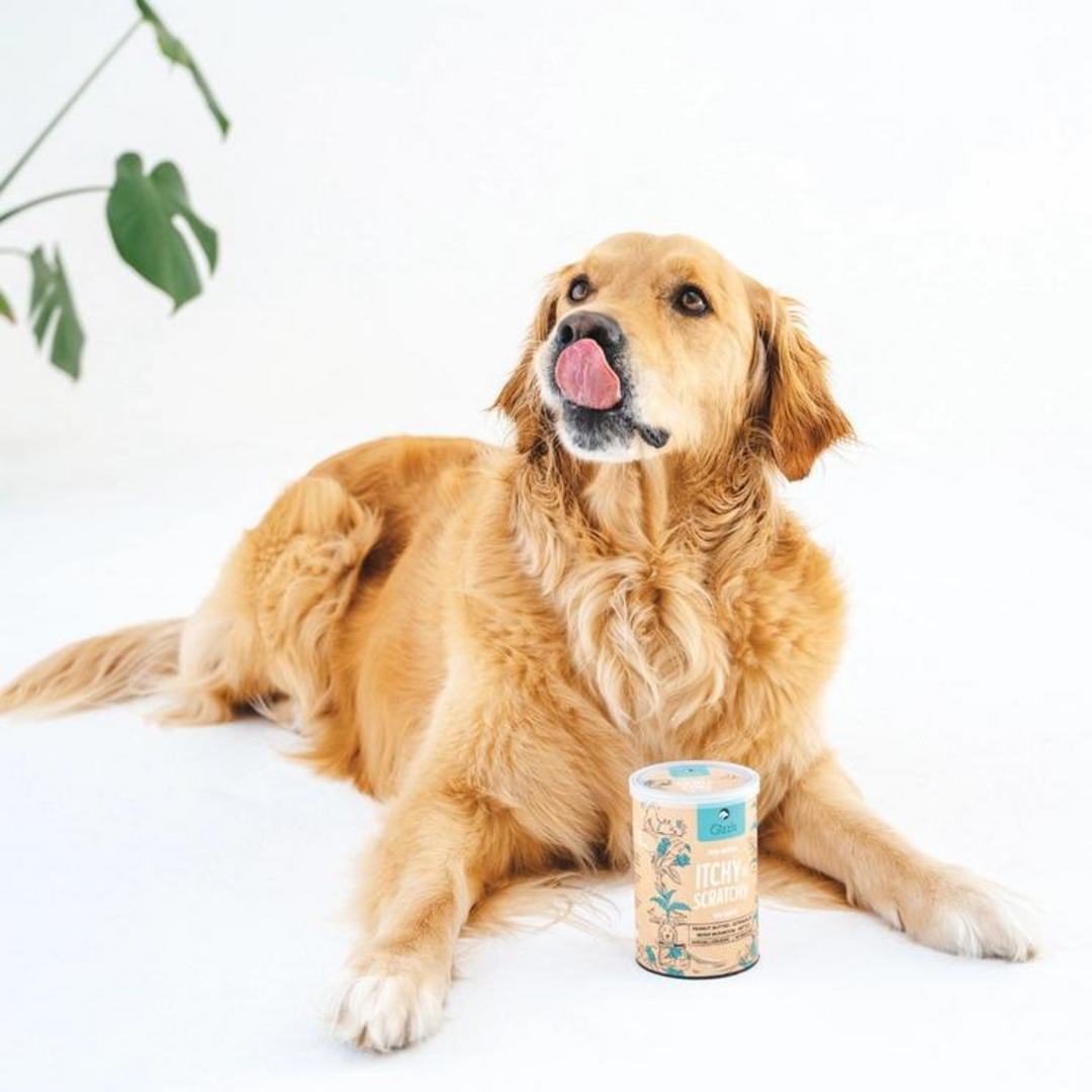 Dog Treats For Allergies and Immunity - 100% Natural