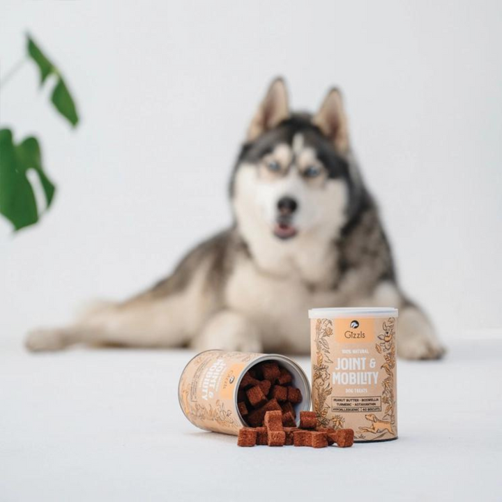 Dog Treats For Joint & Mobility - 100% Natural