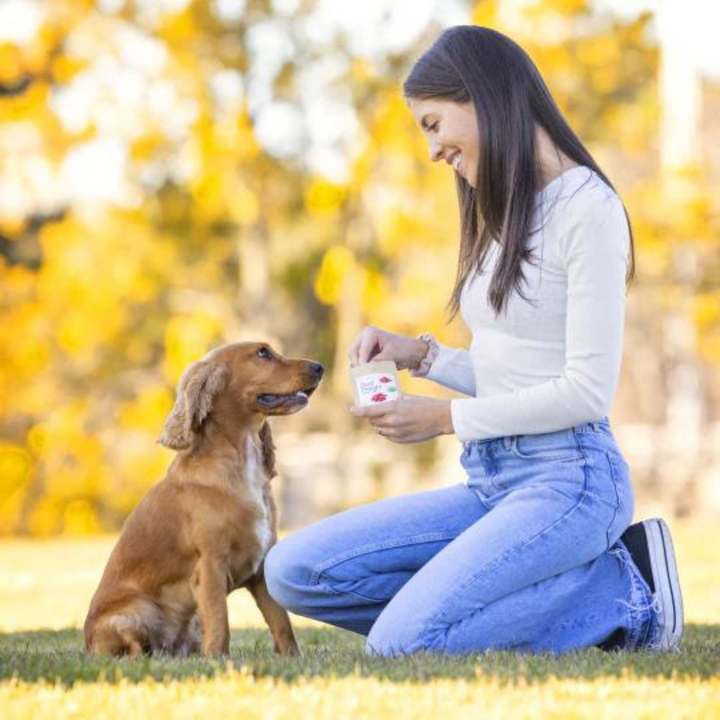 Beef Delight Organic Baked Dog Treats