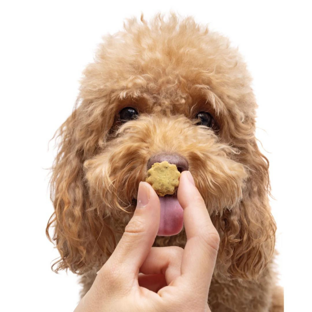 Happy Tummy Organic Baked Dog Treats