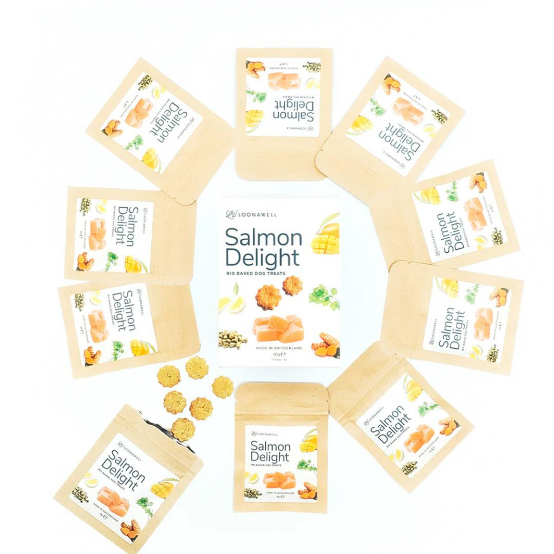Salmon Delight Organic Baked Dog Treats