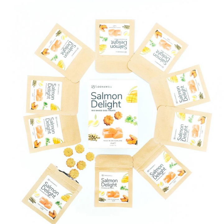 Salmon Delight Organic Baked Dog Treats