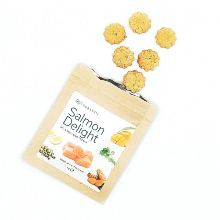 Salmon Delight Organic Baked Dog Treats