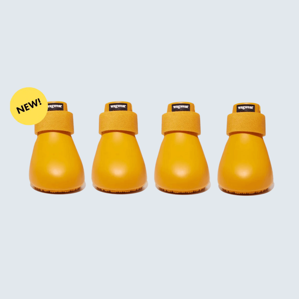 WagWellies Dog Boots in yellow, waterproof and slip-on design for comfortable paw protection.