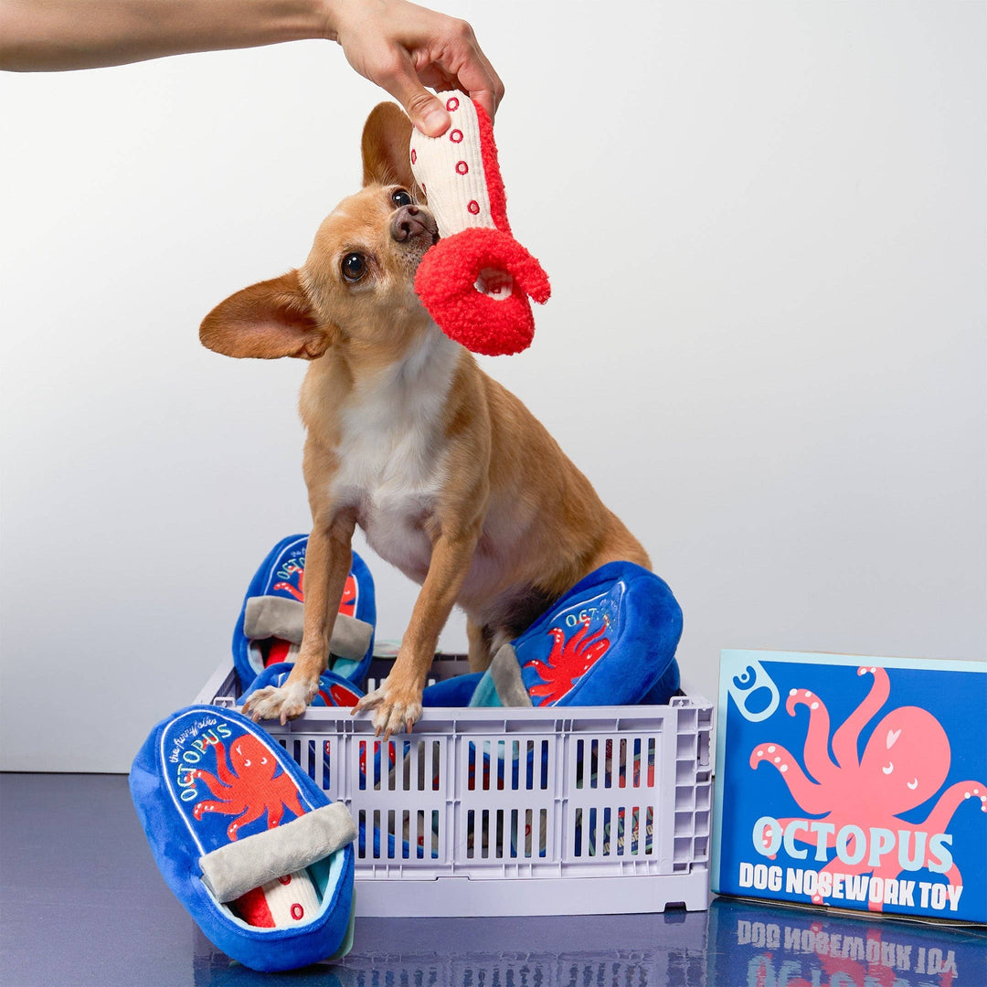Tinned Octopus Nosework Toy