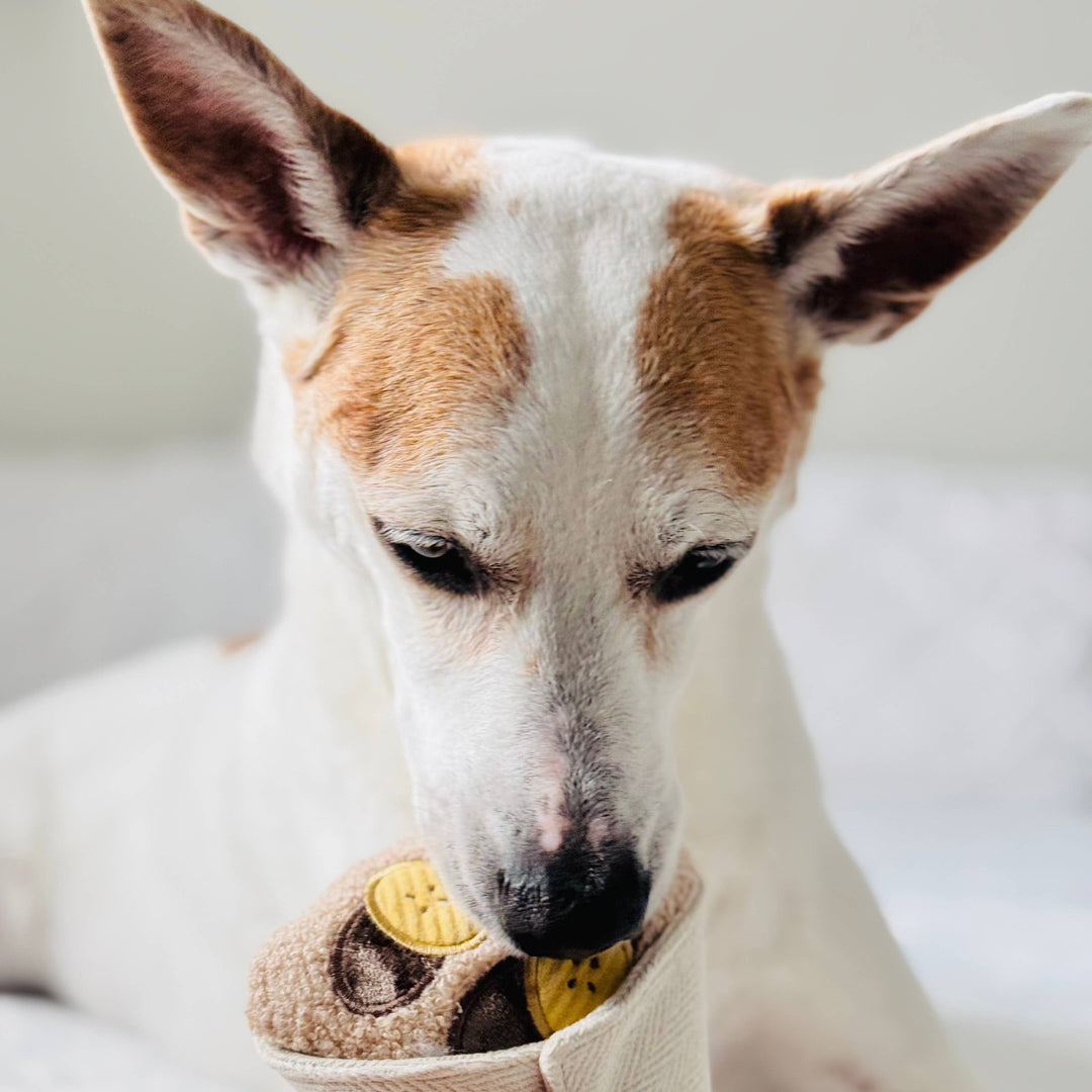 Crepe Enrichment Dog Toy