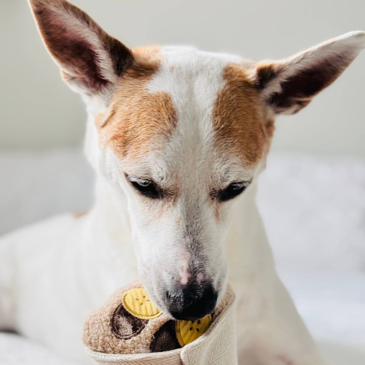 Crepe Enrichment Dog Toy