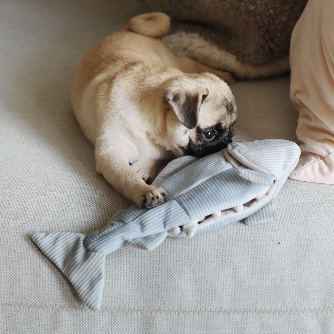 Trout Enrichment Dog Toy