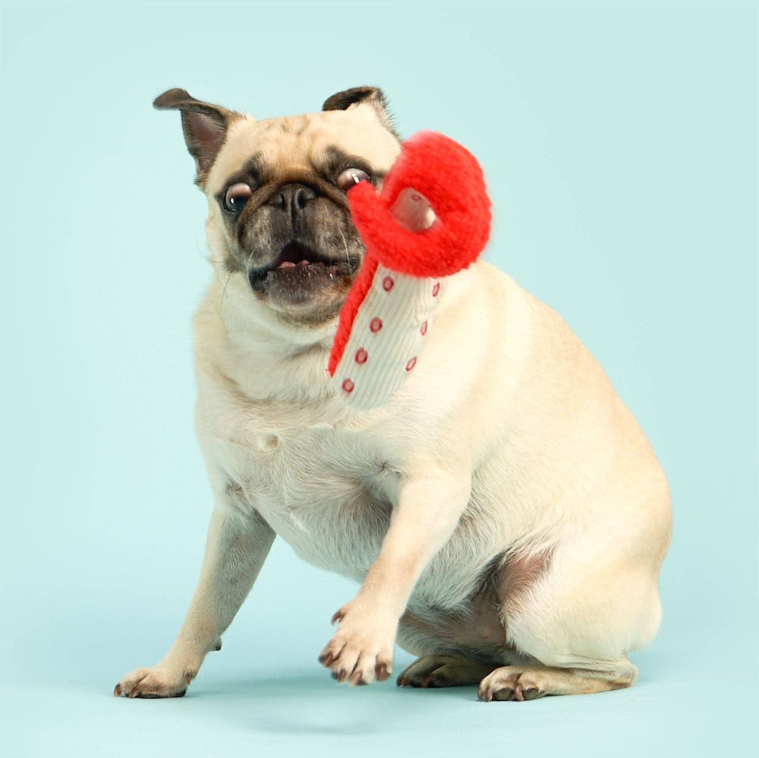 Tinned Octopus Nosework Toy