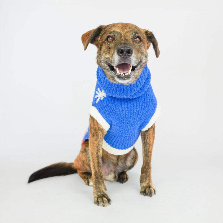 Starry Night Sweater