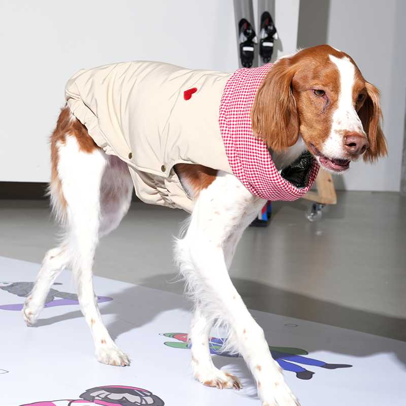 Check My Heart Padding - Dog Winter Jacket
