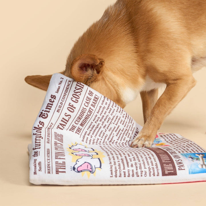 Newspaper Ver. 2 Nosework Toy