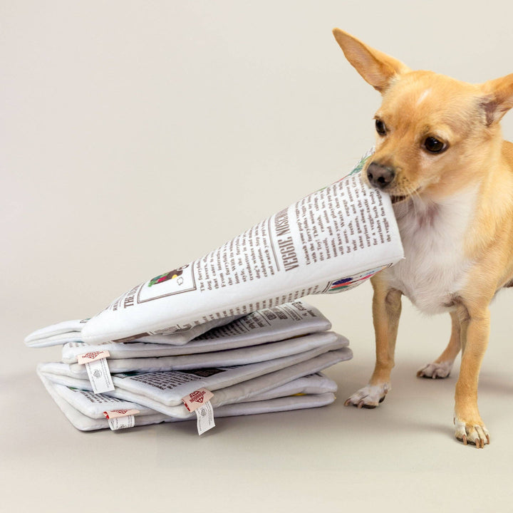 Newspaper Ver. 2 Nosework Toy