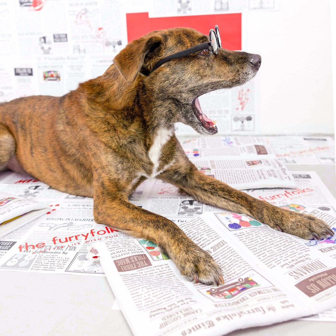 Newspaper Ver. 2 Nosework Toy