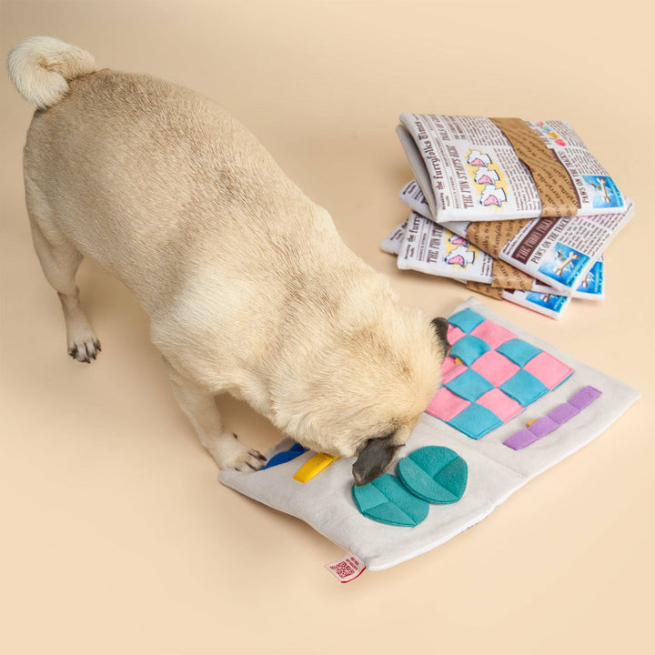 Newspaper Ver. 2 Nosework Toy