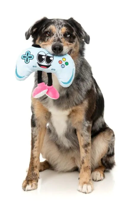 Gamezy Console- The Homies - Dog Toy