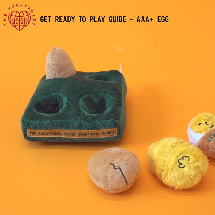 Egg Interactive Dog Toy